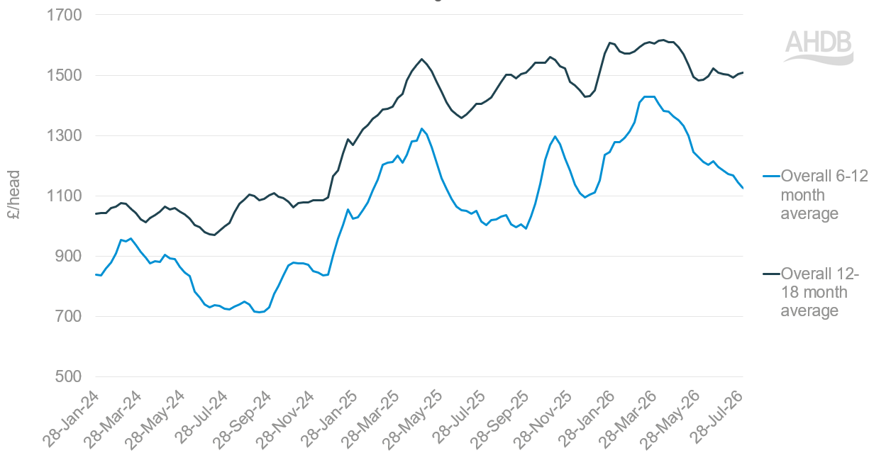 Figure 1 shows the 4-week rolling average price of store cattle in England and Wales.